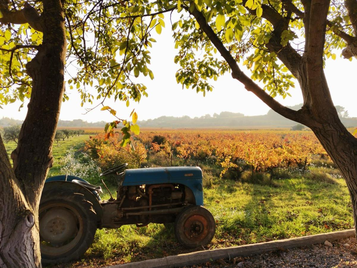 Gite En Provence "Rose" Modene Εξωτερικό φωτογραφία