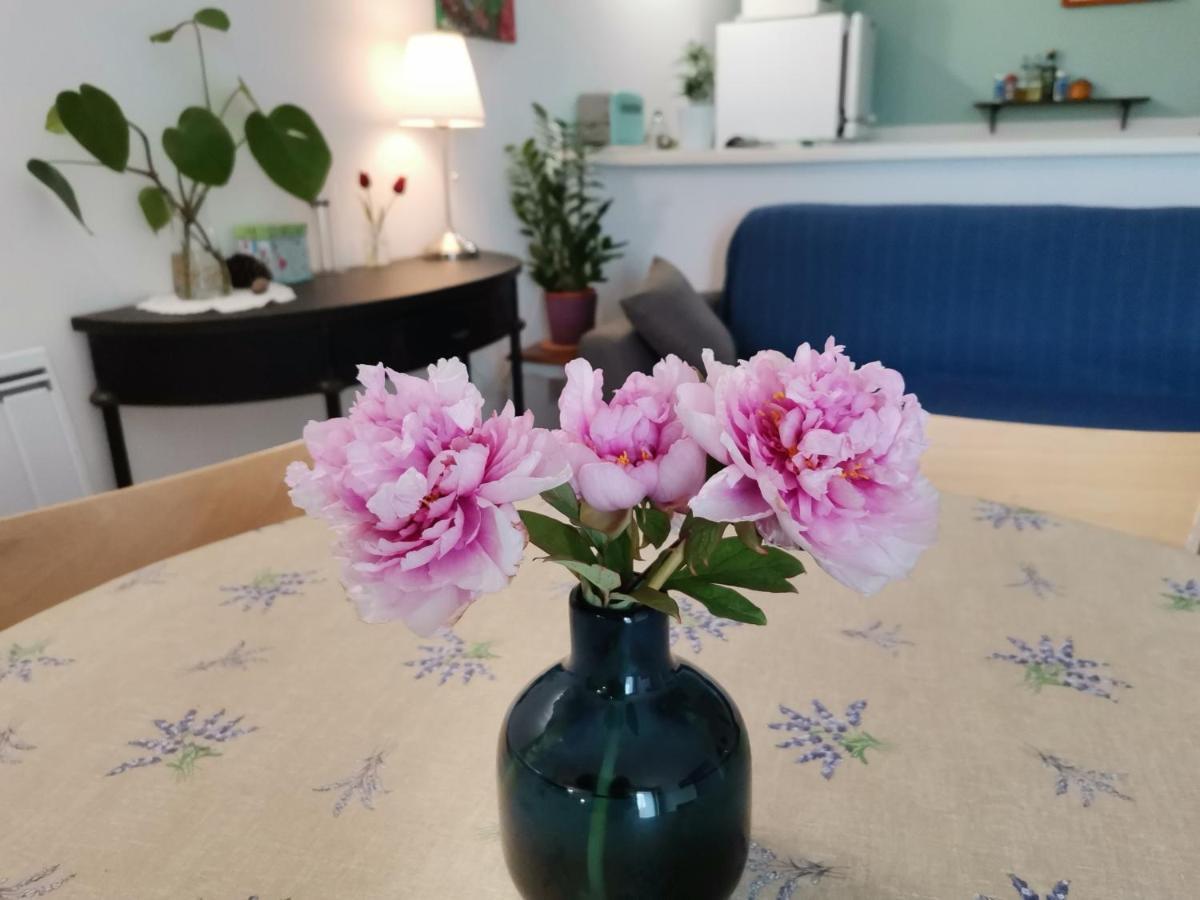 Gite En Provence "Rose" Modene Εξωτερικό φωτογραφία