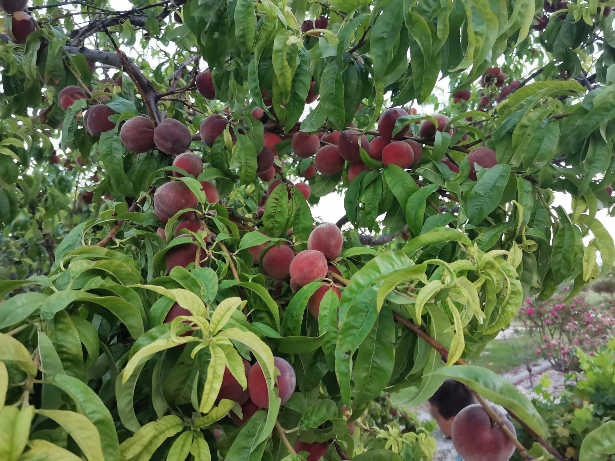 Gite En Provence "Rose" Modene Εξωτερικό φωτογραφία