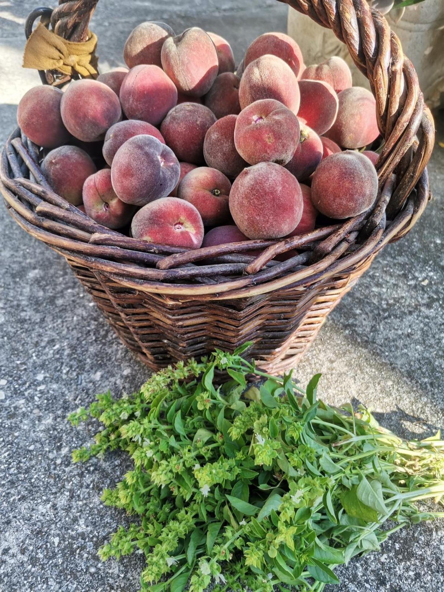 Gite En Provence "Rose" Modene Εξωτερικό φωτογραφία