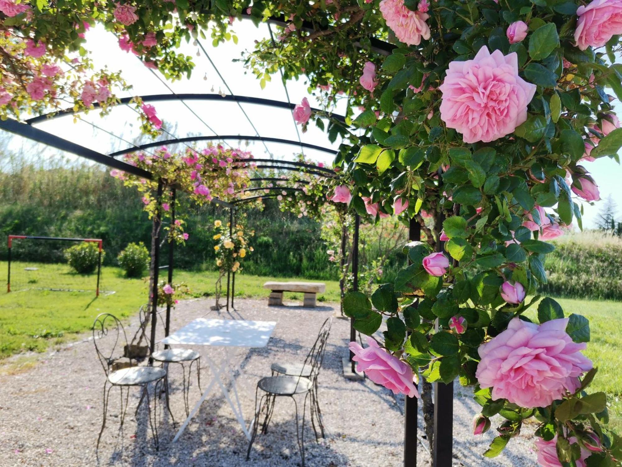 Gite En Provence "Rose" Modene Εξωτερικό φωτογραφία