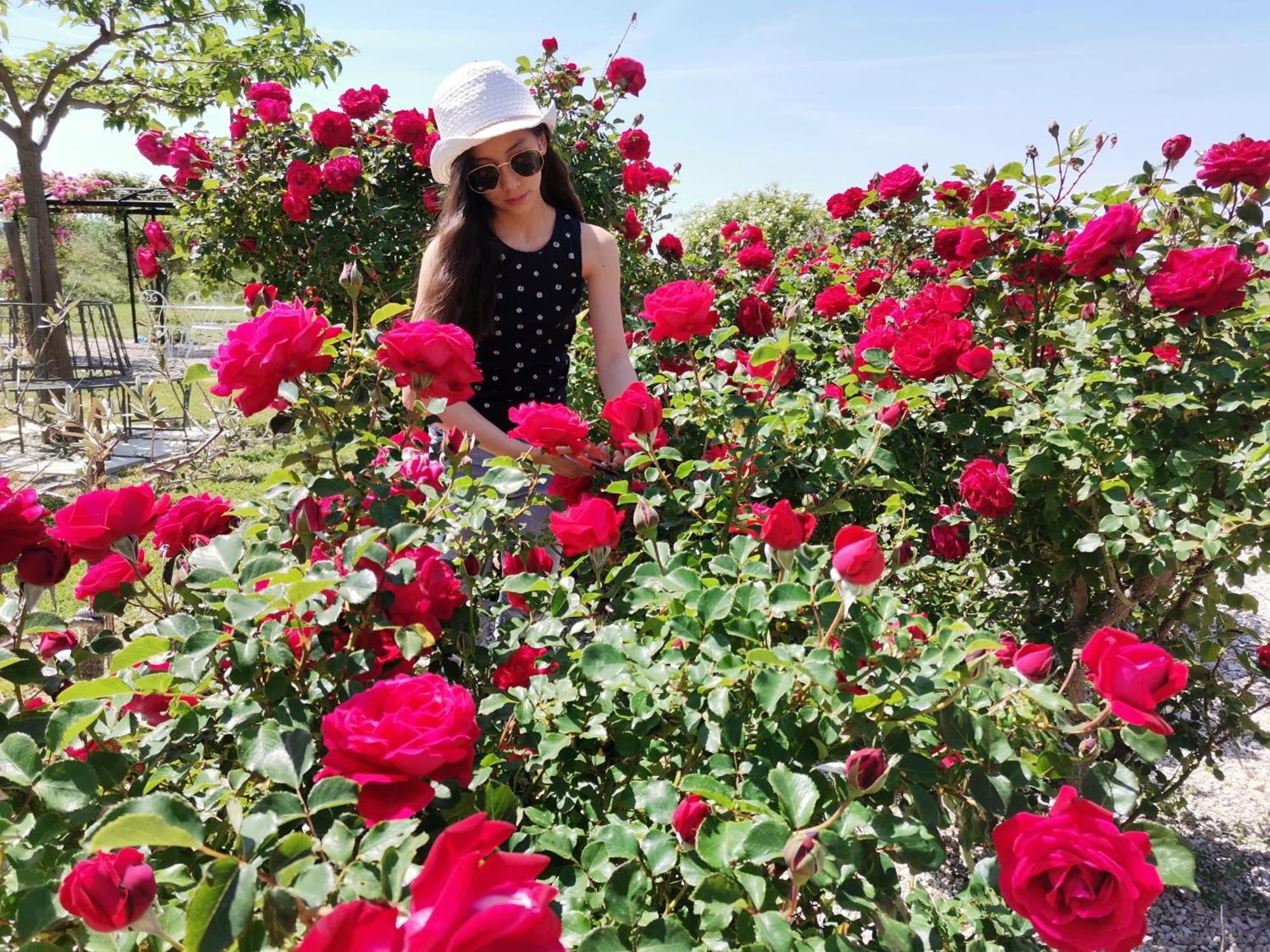 Gite En Provence "Rose" Modene Εξωτερικό φωτογραφία