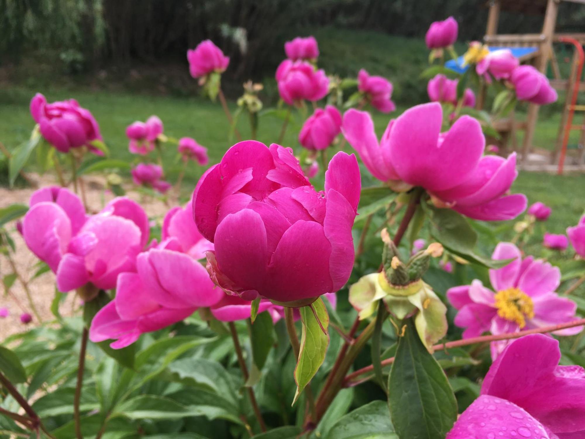 Gite En Provence "Rose" Modene Εξωτερικό φωτογραφία