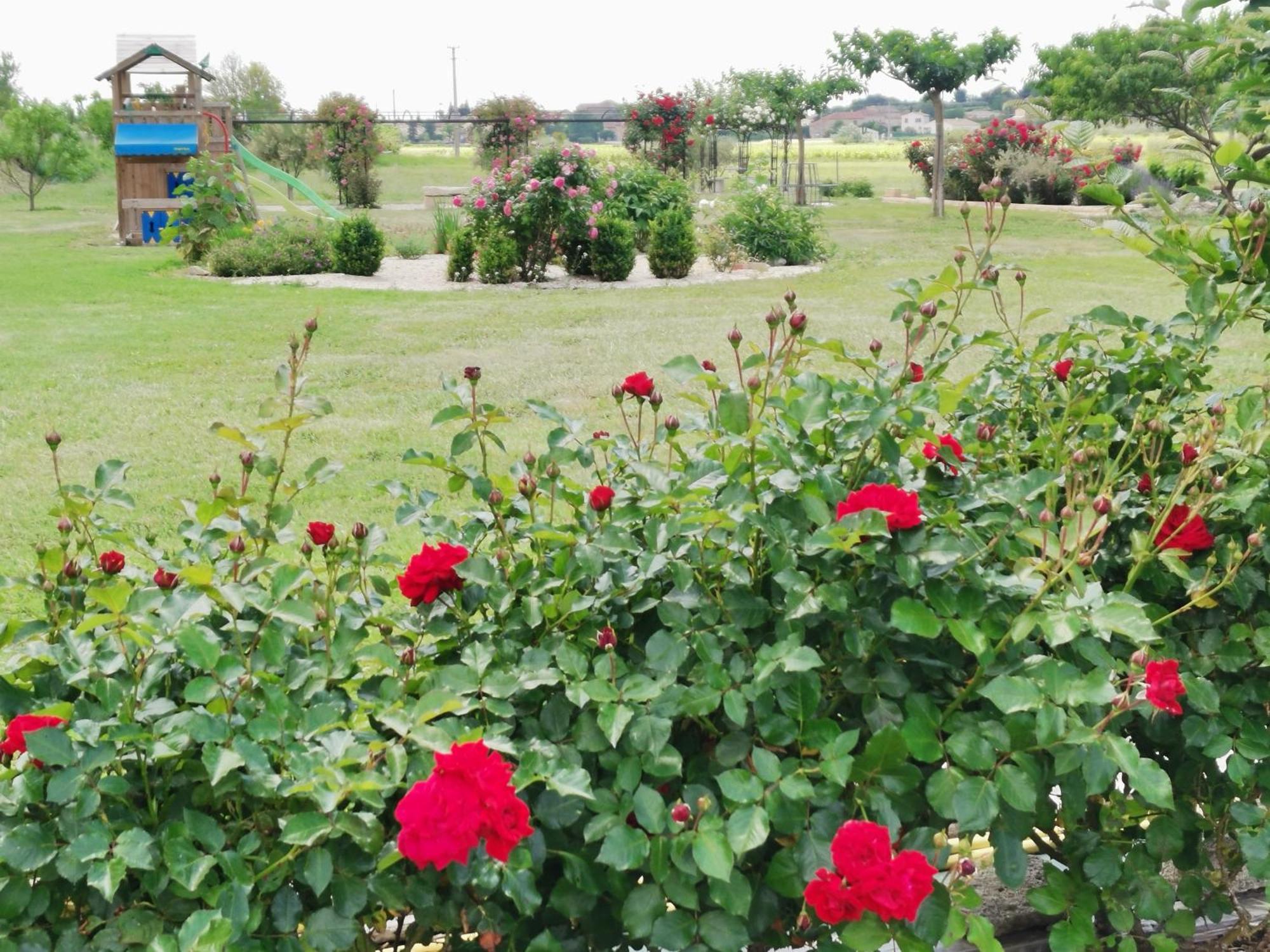 Gite En Provence "Rose" Modene Εξωτερικό φωτογραφία