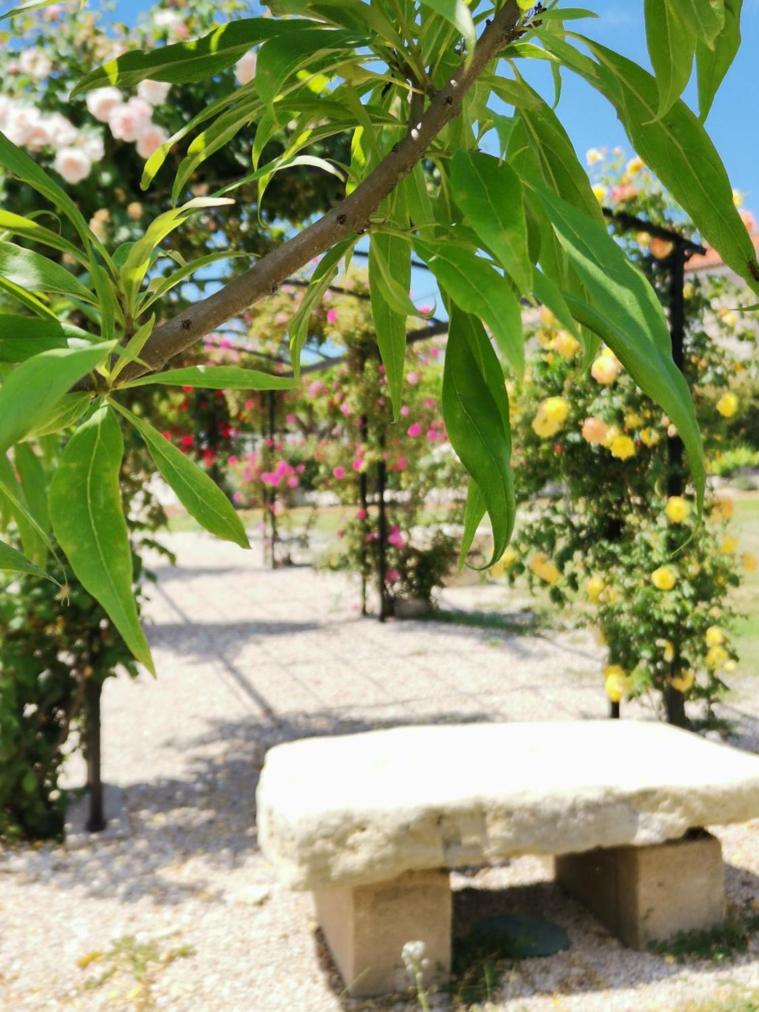 Gite En Provence "Rose" Modene Εξωτερικό φωτογραφία