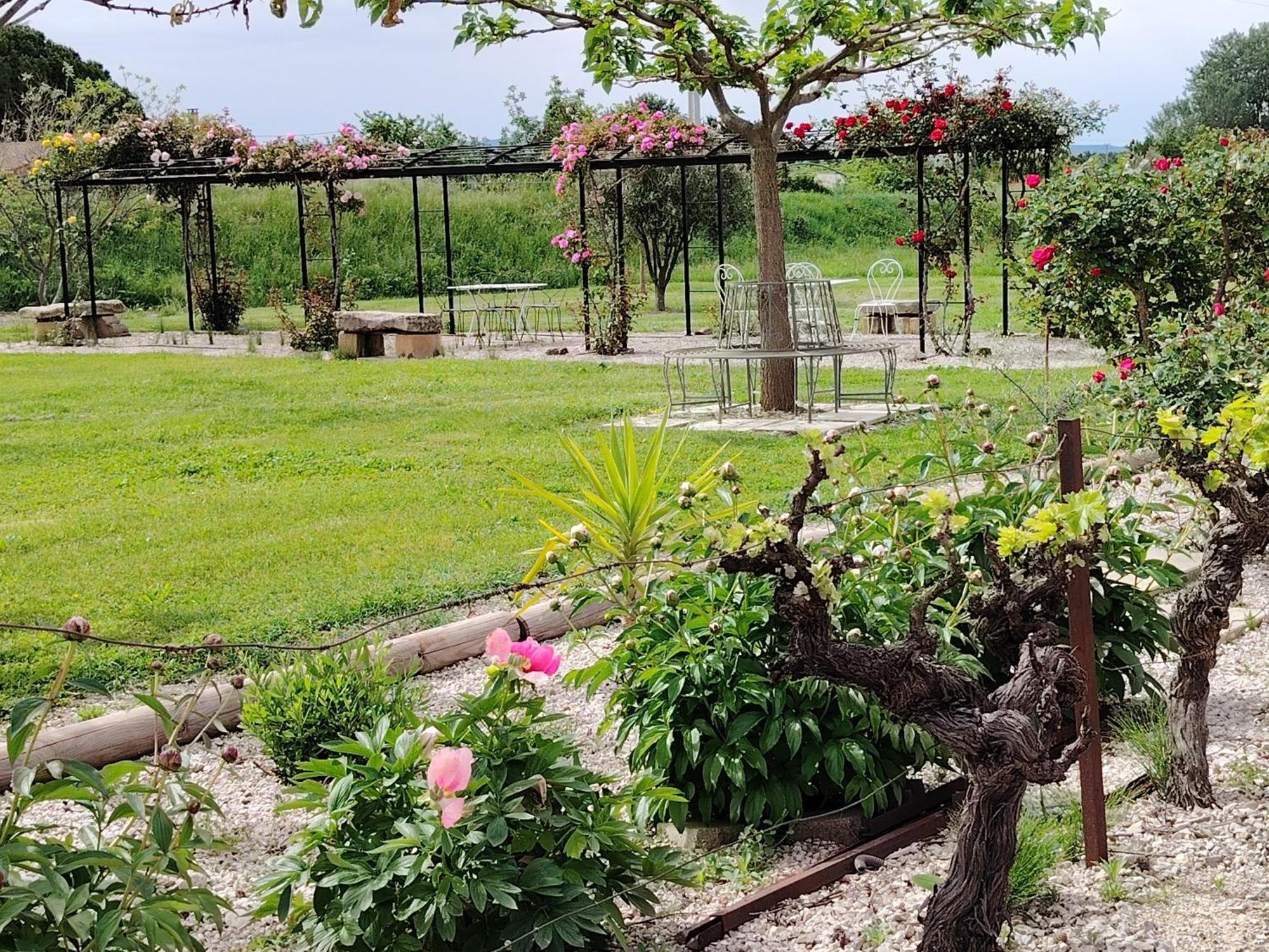 Gite En Provence "Rose" Modene Εξωτερικό φωτογραφία